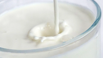 In den USA sollte derzeit lediglich pasteurisierte Milch konsumiert werden. (Foto: Sina Schuldt/dpa)