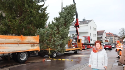 Elisabeth Matijas freut sich darüber, dass die Fichte, die ihr Vater vor dem Haus in der Oberhäuserstraße gepflanzt hat, nun zum Weihnachtsbaum in Herrieden wird. (Foto: Thomas Schaller)