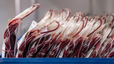 Der britische Skandal um infizierte Blutkonserven sollte vertuscht werden. (Foto: Robert Michael/dpa)