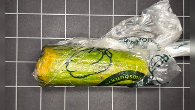 Der Vater der Frau nahm das Paket mit der Gurke an und bezahlte.  (Foto: Polizei Sulzbach-Rosenberg/dpa)