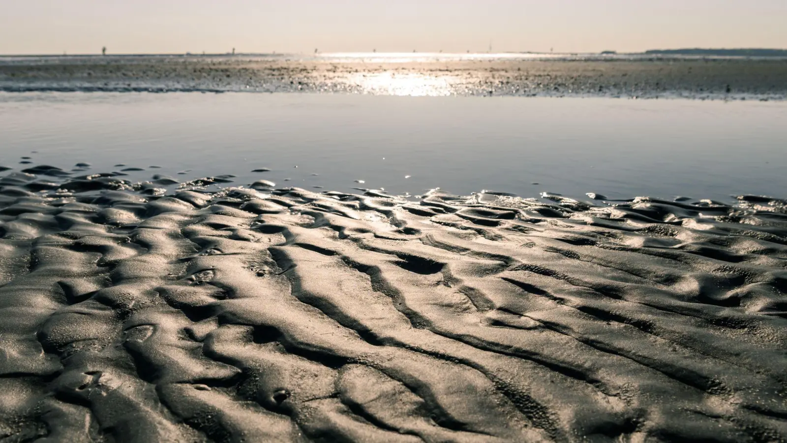 Die Frau kam in ein Krankenhaus. (Symbolbild) (Foto: Mohssen Assanimoghaddam/dpa)