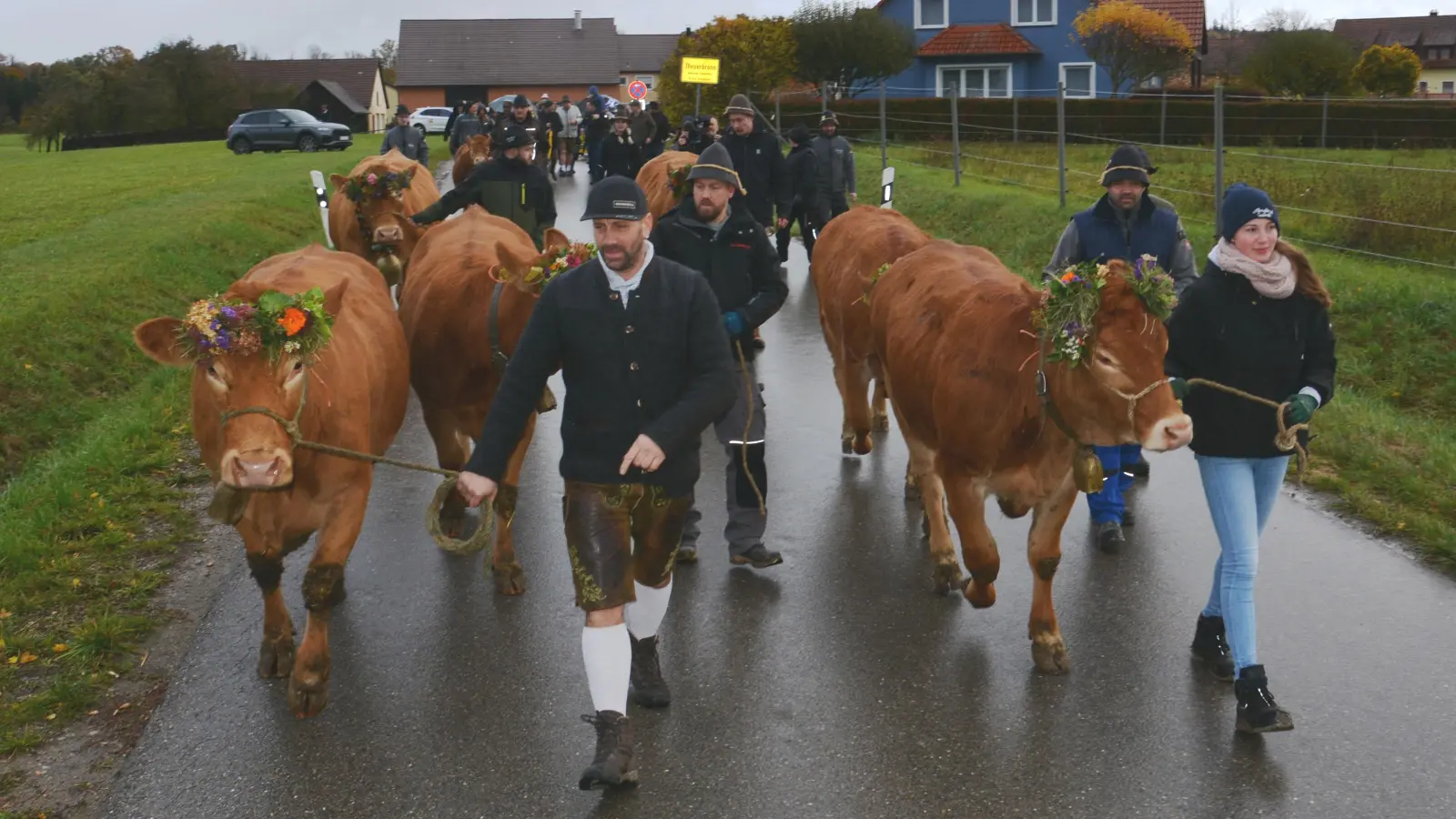 Auf geht’s: Beim Almabtrieb wurden die Rinder von Theuerbronn nach Gailroth geführt. (Foto: Peter Tippl)