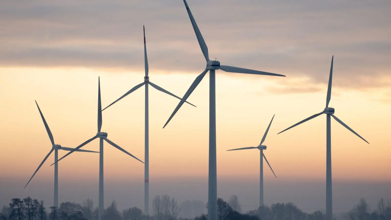 Deutschland hat erstmals seit 2023 wieder mehr Strom ins Ausland verkauft als eingeführt. (Symbolbild) (Foto: Hauke-Christian Dittrich/dpa)
