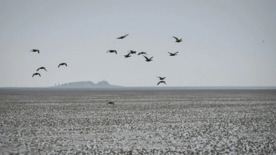 Die UN-Kulturorganisation Unesco warnt vor Öl- und Gasförderung im Welterbe Wattenmeer. (Foto: Christian Charisius/dpa)