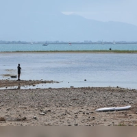 Es bleibt heiß in Bayern: Ein Mann steht am trockenen Ufer des Bodensees neben einem Surfboard. (Archivbild) (Foto: Karl-Josef Hildenbrand/dpa)