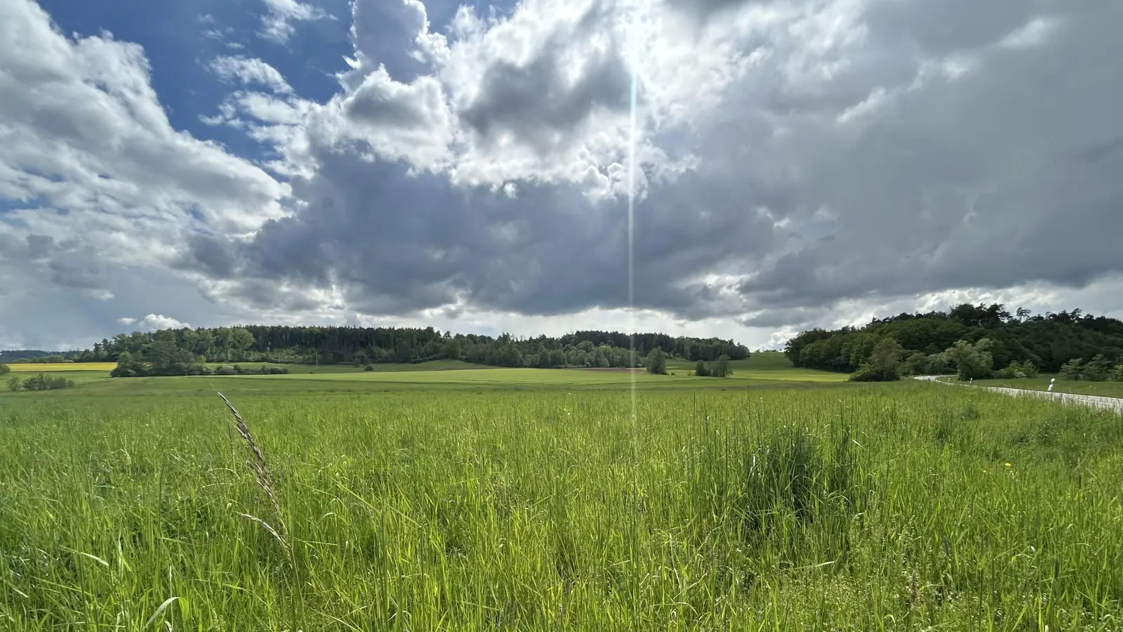 Dunkle Wolken über dem Projekt? Auf diesem Areal bei Gehrenberg soll die Groß-Biogasanlage entstehen. Dagegen hat sich mit der Gründung einer Interessengemeinschaft inzwischen Widerstand formiert.  (Foto: Florian Pöhlmann)