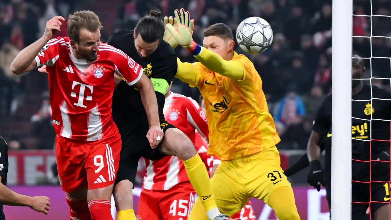 Der Führungstreffer von Harry Kane ebnete den Weg für den FC Bayern. (Foto: Sven Hoppe/dpa)