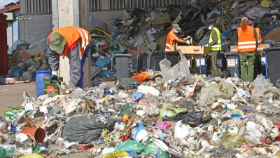Bei der Restmüllanalyse 2023 wurde der Inhalt der Grauen Tonnen ins Visier genommen. Das Resultat: 35 Prozent des Abfalls hätte nicht in diesen Tonnen landen sollen, vor allem organischer Art. (Archivbild: Anita Dlugoß)