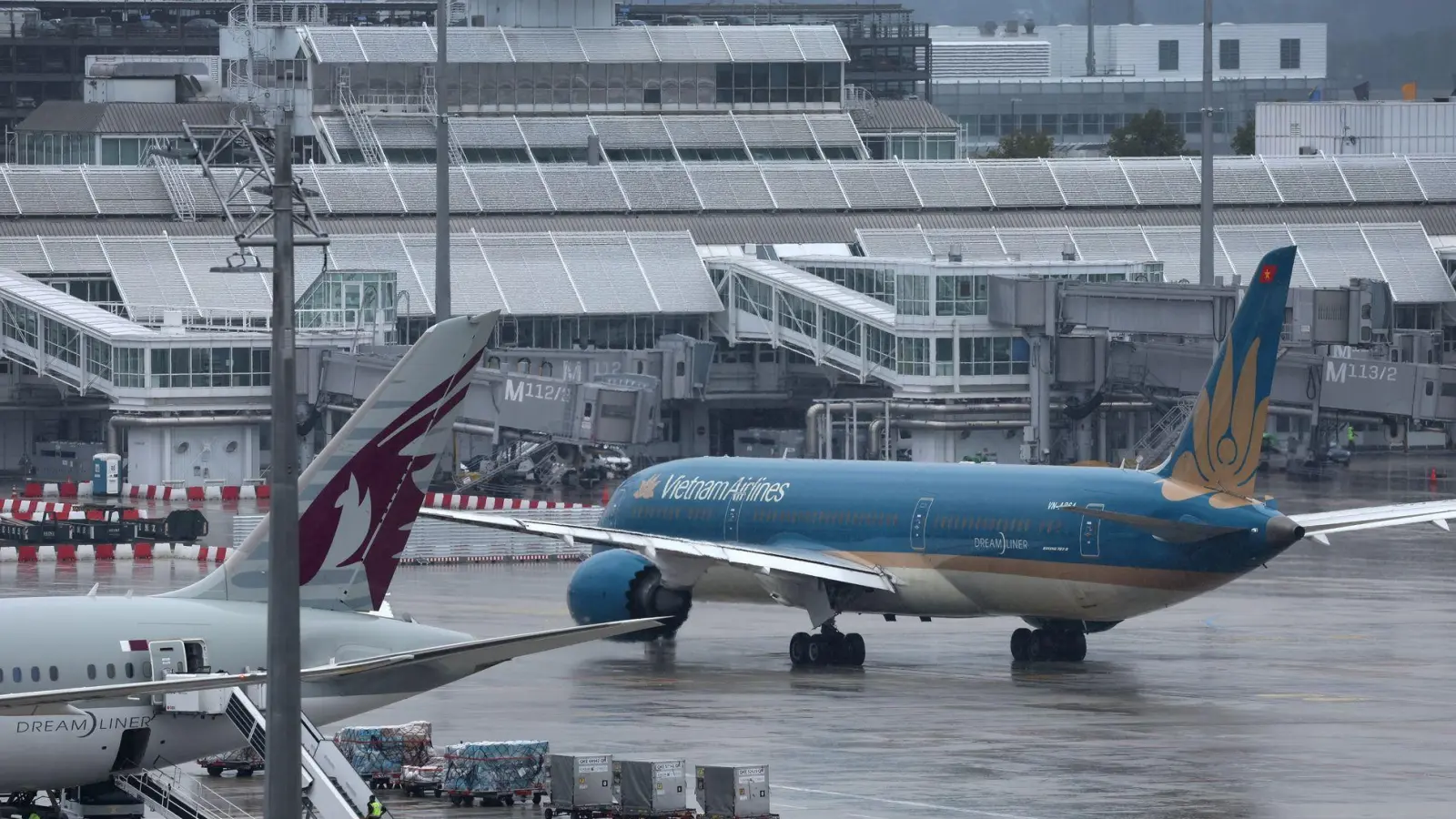 Aus Hanoi kommen erste Hinweise auf einen sogenannten Tailstrike (Foto: Karl-Josef Hildenbrand/dpa)