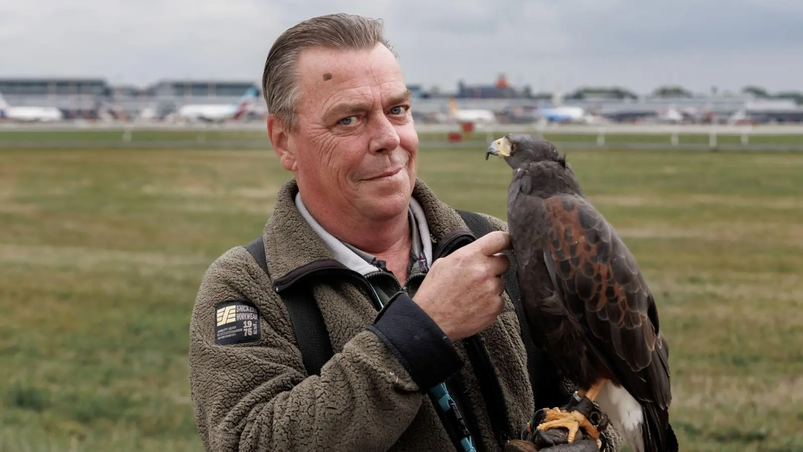 Falkner mit Spezial-Einsatzgebiet: Herbert Boger ist mit seinen Wüstenbussarden am Flughafen Hamburg für die Vogelvergrämung zuständig. (Foto: Markus Scholz/dpa-tmn)