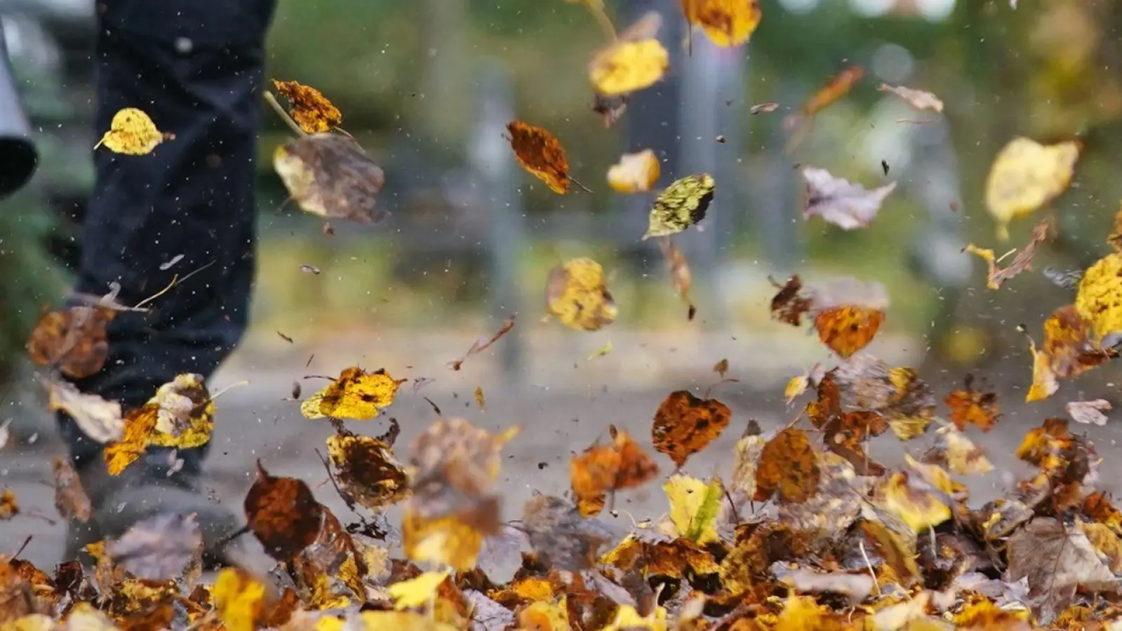 Kampf gegen das Herbstlaub: Laubbläser sind praktische Helfer - aber nur, wenn sie sachgemäß und sicher bedient werden. (Foto: Marcus Brandt/dpa/dpa-tmn)