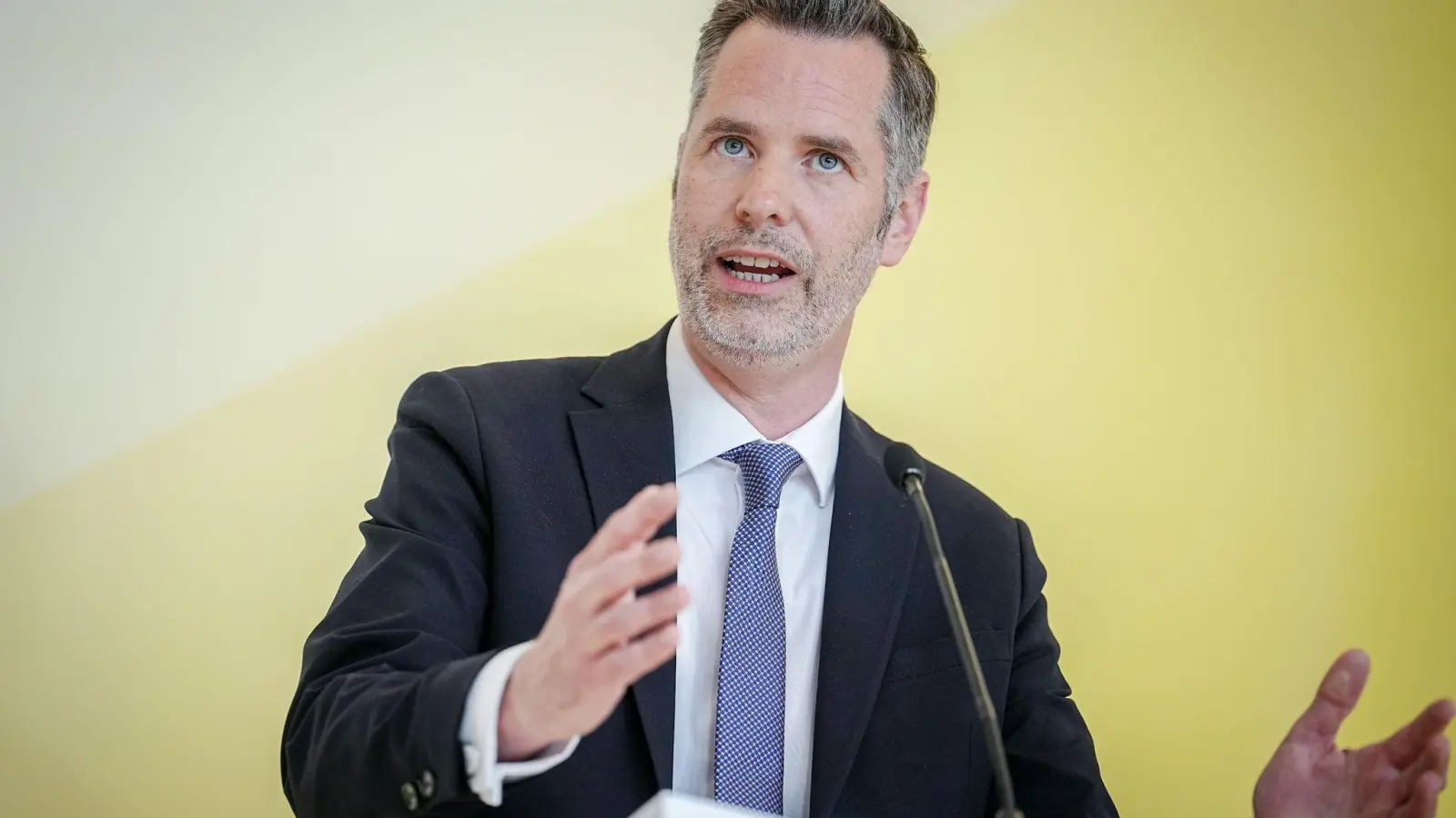 FDP-Fraktionschef Christian Dürr wirbt für Holz als klimaneutralen Brennstoff. (Foto: Kay Nietfeld/dpa)