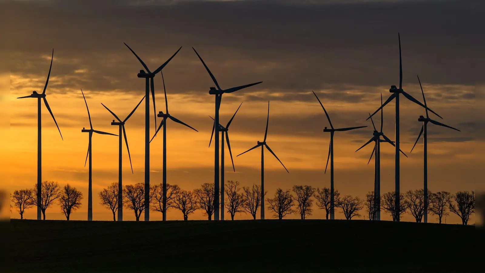 Der Stromanbieter hat Ökostrom-Tarife im Angebot? Das muss nicht unbedingt heißen, dass er sich auch am Ausbau erneuerbarer Energien beteiligt.  (Foto: Patrick Pleul/dpa)