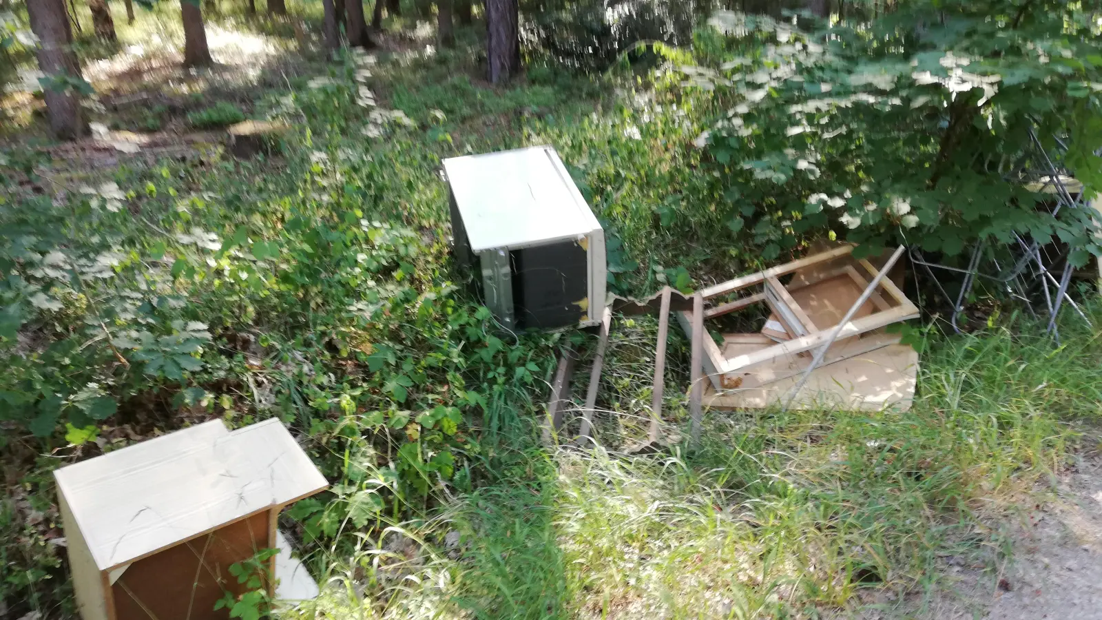 Einfach in den Wald geworfen: Die Polizei sucht die Leute, die diese Möbel illegal entsorgt haben.  (Foto: Daniel Rotter)