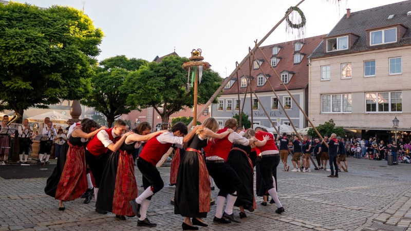 Mit vereinten Kräften stemmten die Ficht'n Lupfer den 21 Meter großen Kirchweihbaum auf dem Neustädter Marktplatu in die Höhe. In den Pausen sorgten die Bläsergruppe Obersteinbach und die Maitanz-Gruppe Burgbernheim für Unterhaltung (Foto: Mirko Fryska)