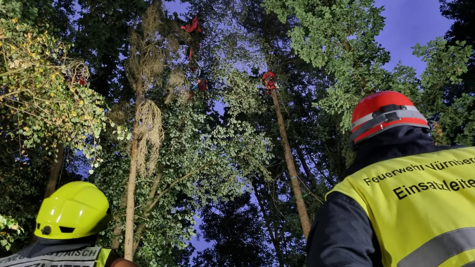Im Baumwipfel hatte sich der Fallschirm verfangen. (Foto: Rainer Weiskirchen)