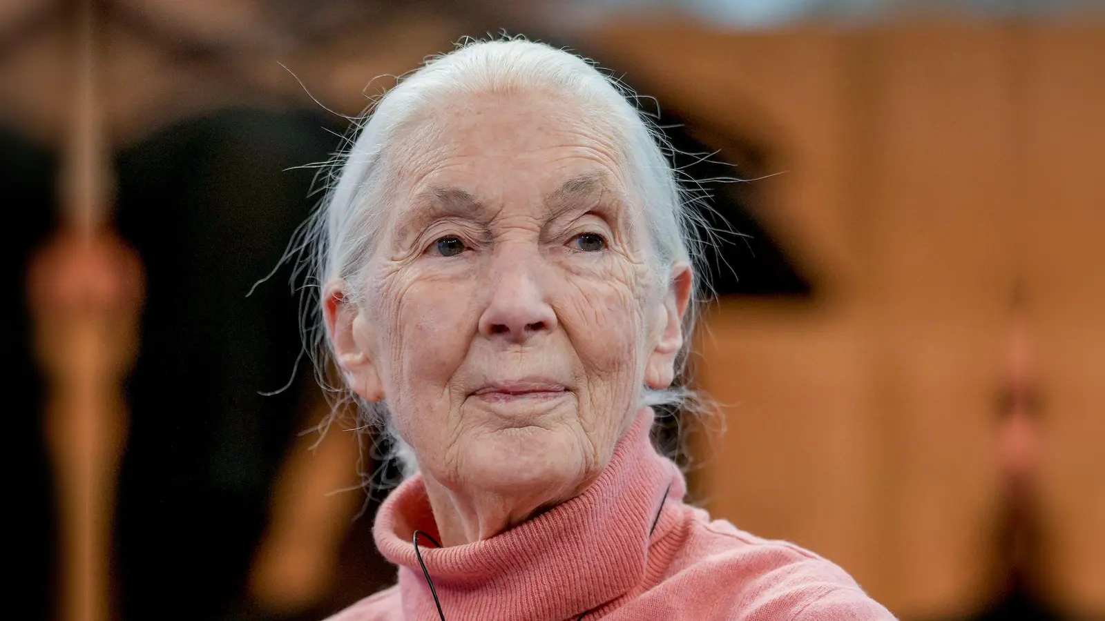 Primatenforscherin und Anthropologin Jane Goodall feiert ihren 90. Geburtstag. (Foto: Markus Schreiber/AP/dpa)