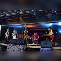 The Royal Flares waren aus München zum Open Air in Immeldorf gekommen: fünf tolle Musiker, die mit spannenden Bassläufen, tollem Harmoniegesang und einer Menge Energie das Publikum abholten.  (Foto: Christina Özbek)