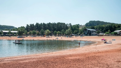 Erneut greift ein Wels einen Schwimmer in der Region an. (Symbolbild) (Foto: Daniel Vogl/dpa)