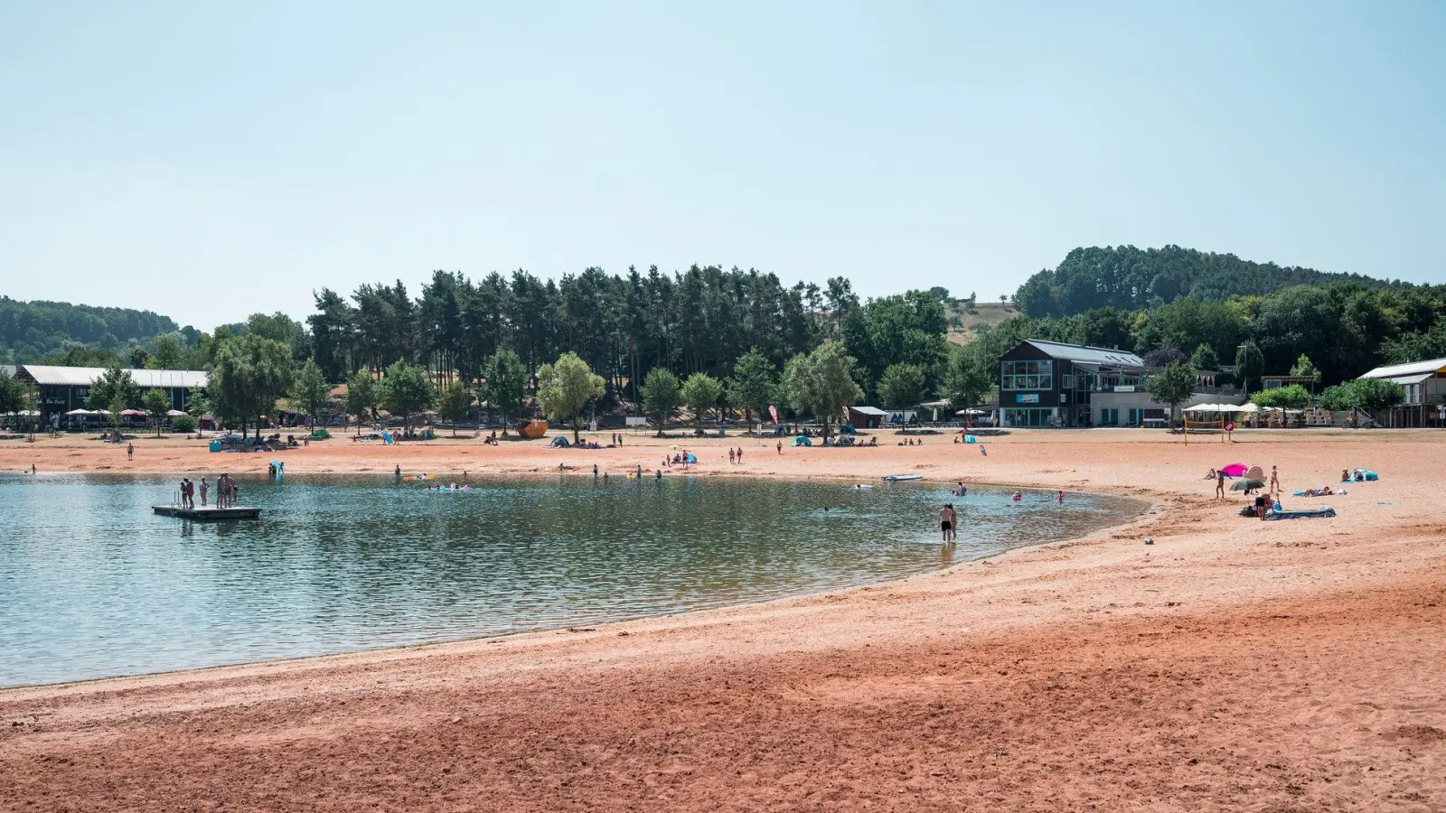 Erneut greift ein Wels einen Schwimmer in der Region an. (Symbolbild) (Foto: Daniel Vogl/dpa)