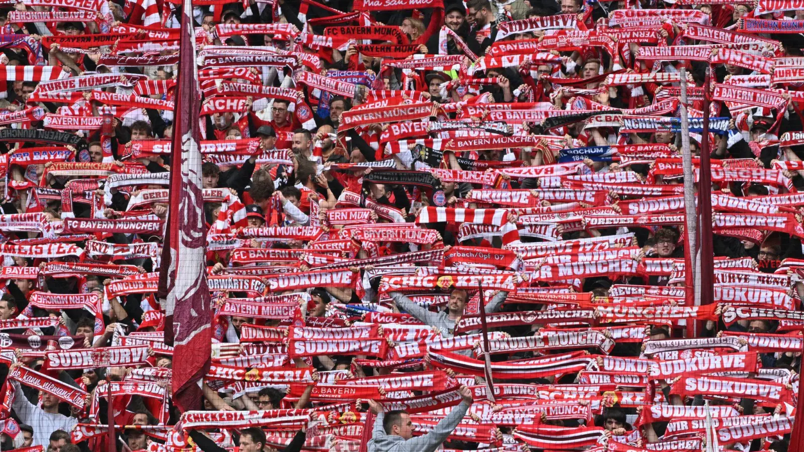 Fans des FC Bayern München (Foto: Peter Kneffel/dpa)
