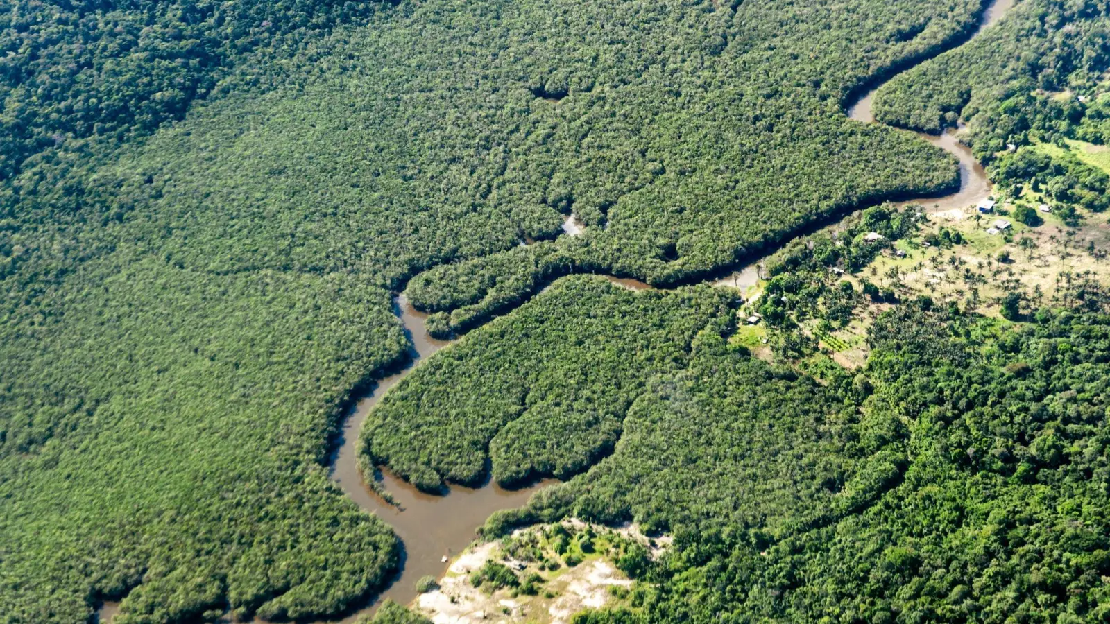 Ein kleiner Fluss schlängelt sich durch den Amazonas-Regenwald. Das brasilianische Amazonasgebiet gilt als CO2-Speicher. (Foto: Jens Büttner/dpa)