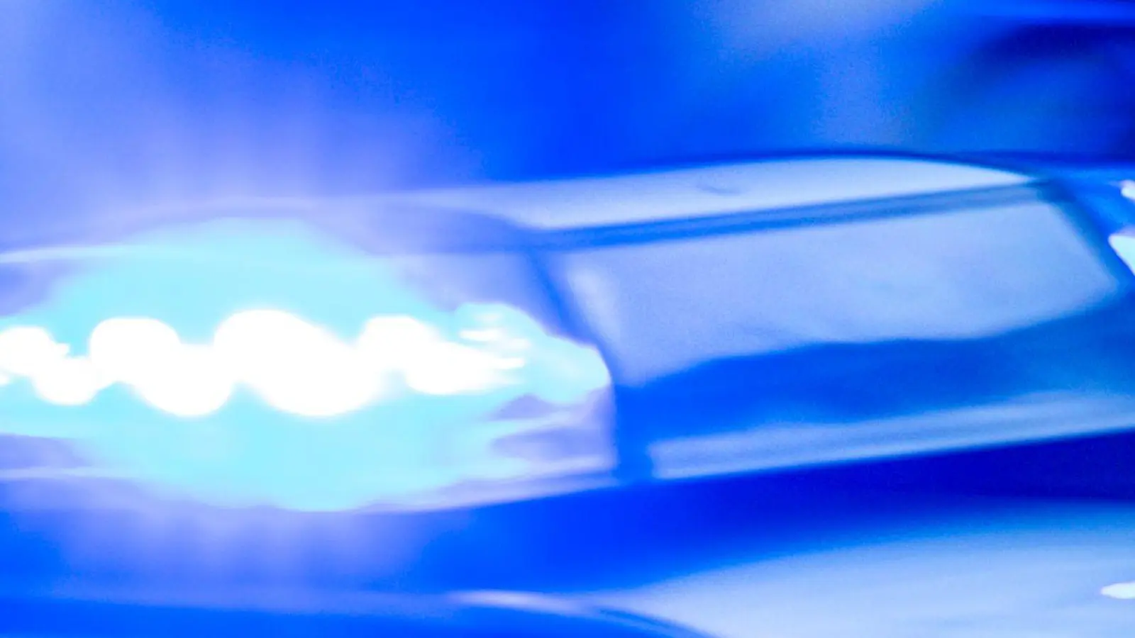 Die Polizei geht von einem hohen Sachschaden durch den umgestürzten Kran aus. (Symbolbild) (Foto: Jens Büttner/dpa)