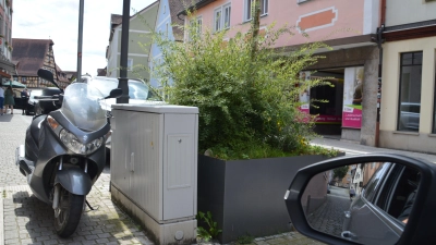 Der Pflanzenkübel versperrt Autofahrern, die von der Vorderen Kellereigasse in die Bamberger Straße einfahren wollen, die Sicht. Eine Anwohnerin sieht darin ein Sicherheitsrisiko. (Foto: Johannes Zimmermann)