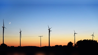 Weil der Bau von Windkraftanlagen das Landschaftsbild verändert, werden Ersatzzahlungen fällig. Die wiederum sollen in den Naturschutz und die Landschaftspflege im Landkreis investiert werden. (Foto: Jim Albright)