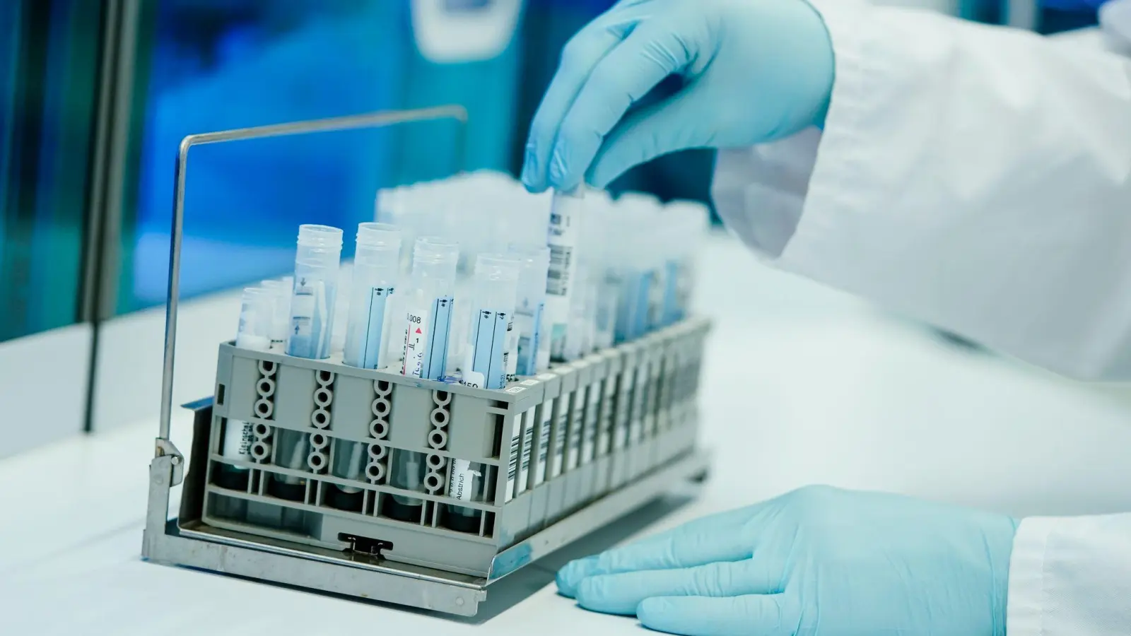 Ein Mitarbeiter bereitet in einem Heidelberger Labor PCR-Teströhrchen vor. (Foto: Uwe Anspach/dpa)