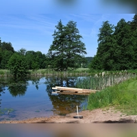An diesem Weiher links vor dem Ortseingang von Steinbach (von Bruckberg kommend) wird am Sonntag getauft.  (Foto: Luca Paul)