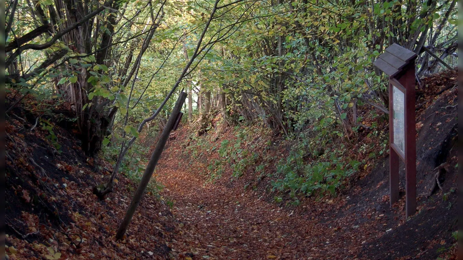 Verträumt romantisch wirkt der Erlebnispfad Petersberg bei Marktbergel. (Archivbild: Harald Weigand)