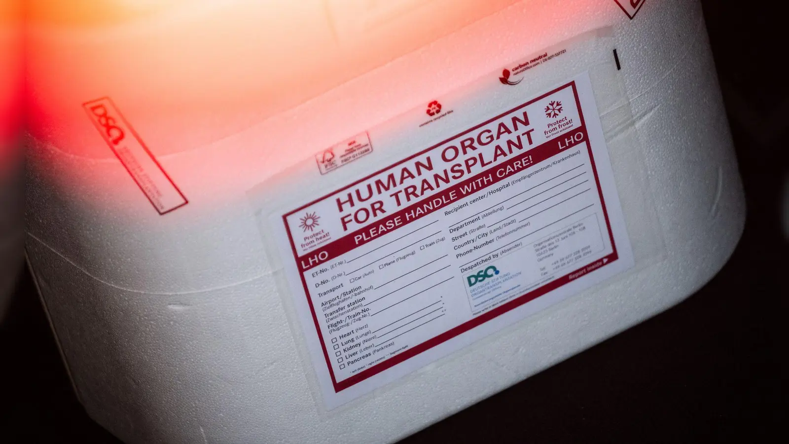 In Neapel braucht der kleine Junge dringend ein neues Spenderherz. (Illustration) (Foto: Sebastian Gollnow/dpa)