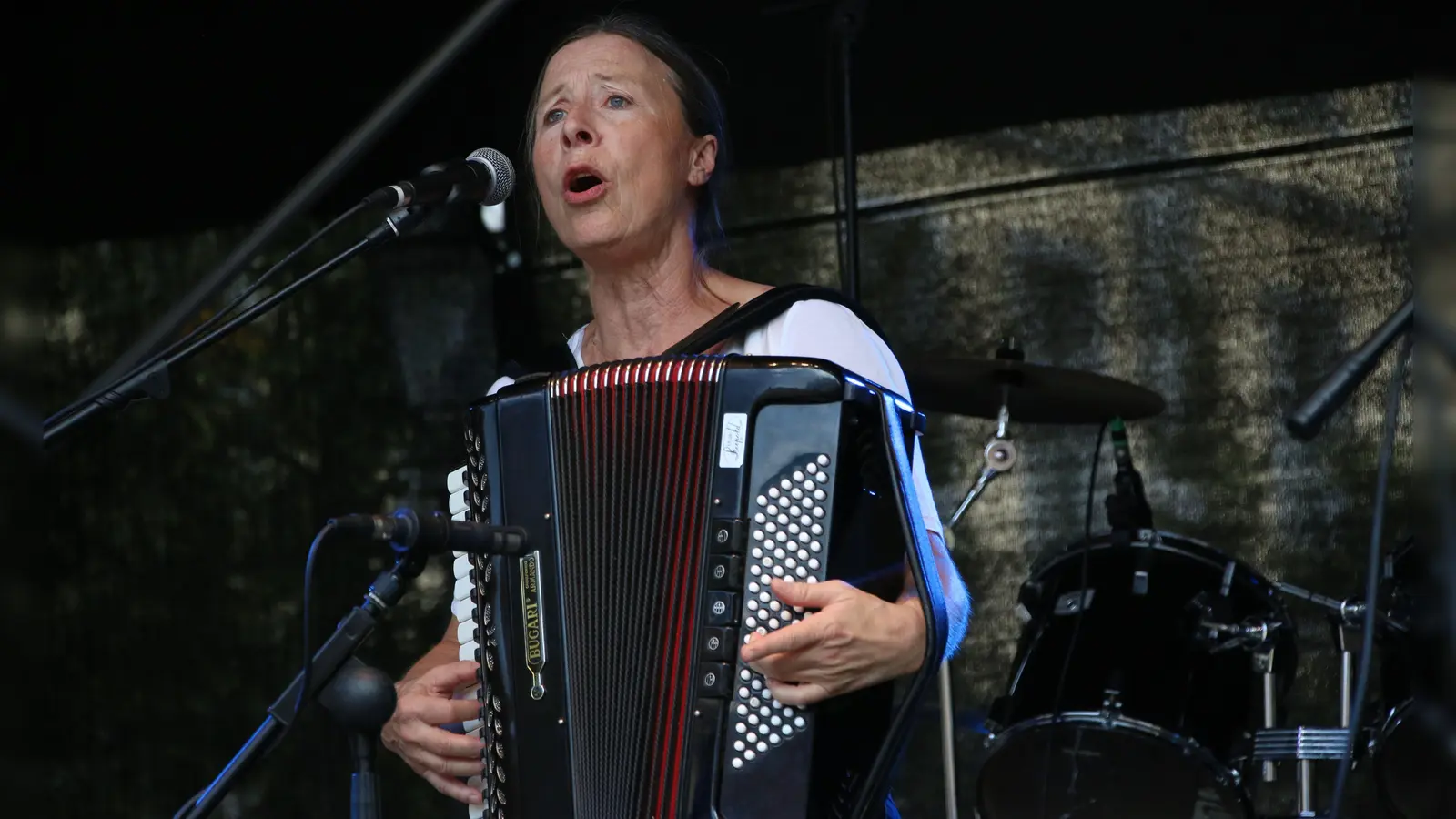 Singend am Akkordeon: Steffi Zachmeier von denFränkischen Straßenmusikanten. (Foto: Jens Plackner)