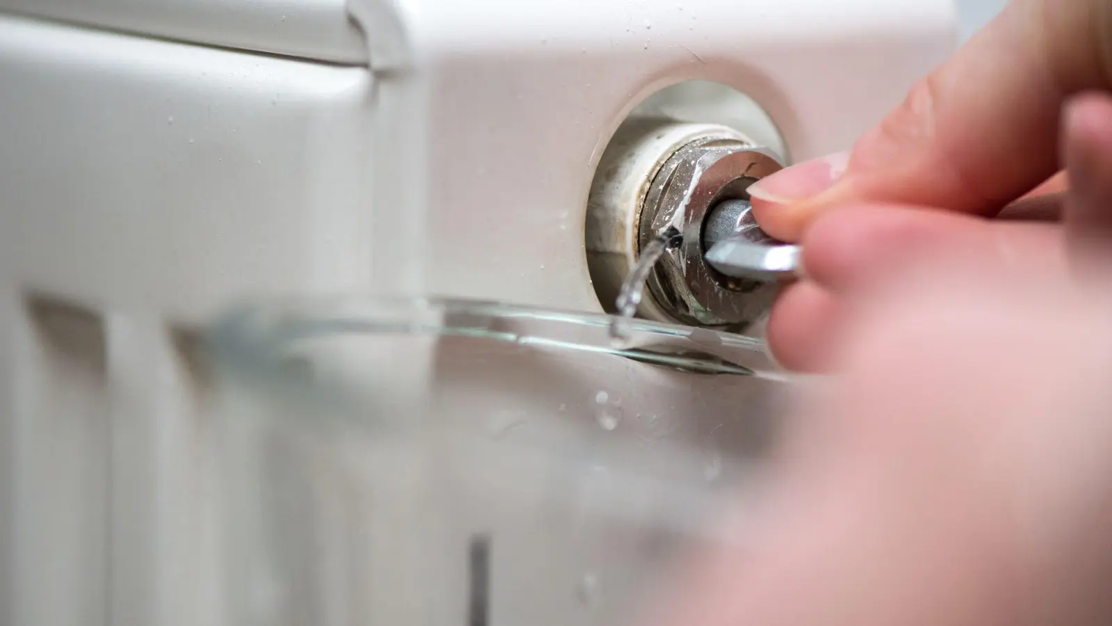 Das Heizungsventil sollte so lange offenbleiben, bis der Heizkörper nicht mehr gluckert - und ein durchgängiger Wasserstrahl kommt. (Foto: Andrea Warnecke/dpa-tmn)