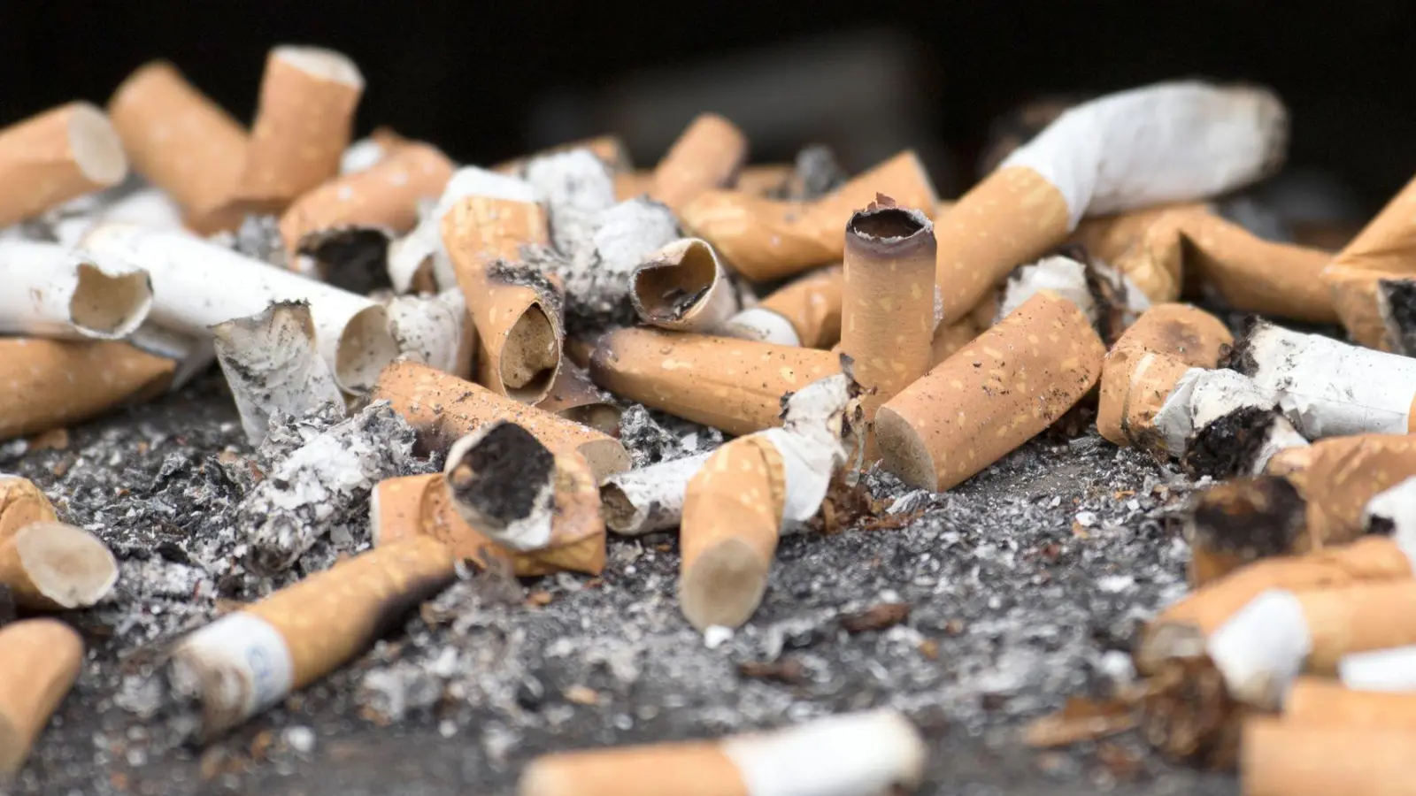 Billionen von Zigarettenkippen landen jedes Jahr in der Umwelt. (Symbolbild) (Foto: Ralf Hirschberger/dpa-Zentralbild/dpa)