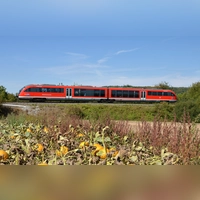 Eine Aufnahme, die derzeit nicht möglich ist: Ein Zug der Regionalbahn-Linie 81 zwischen Neustadt/Aisch und Steinach. (Archivbild: Johannes Hirschlach)