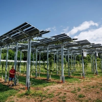 Die Agri-PV-Anlage soll zeigen, wie Kirschbäume gedeihen und gleichzeitig Strom produziert werden kann.  (Foto: Daniel Karmann/dpa)