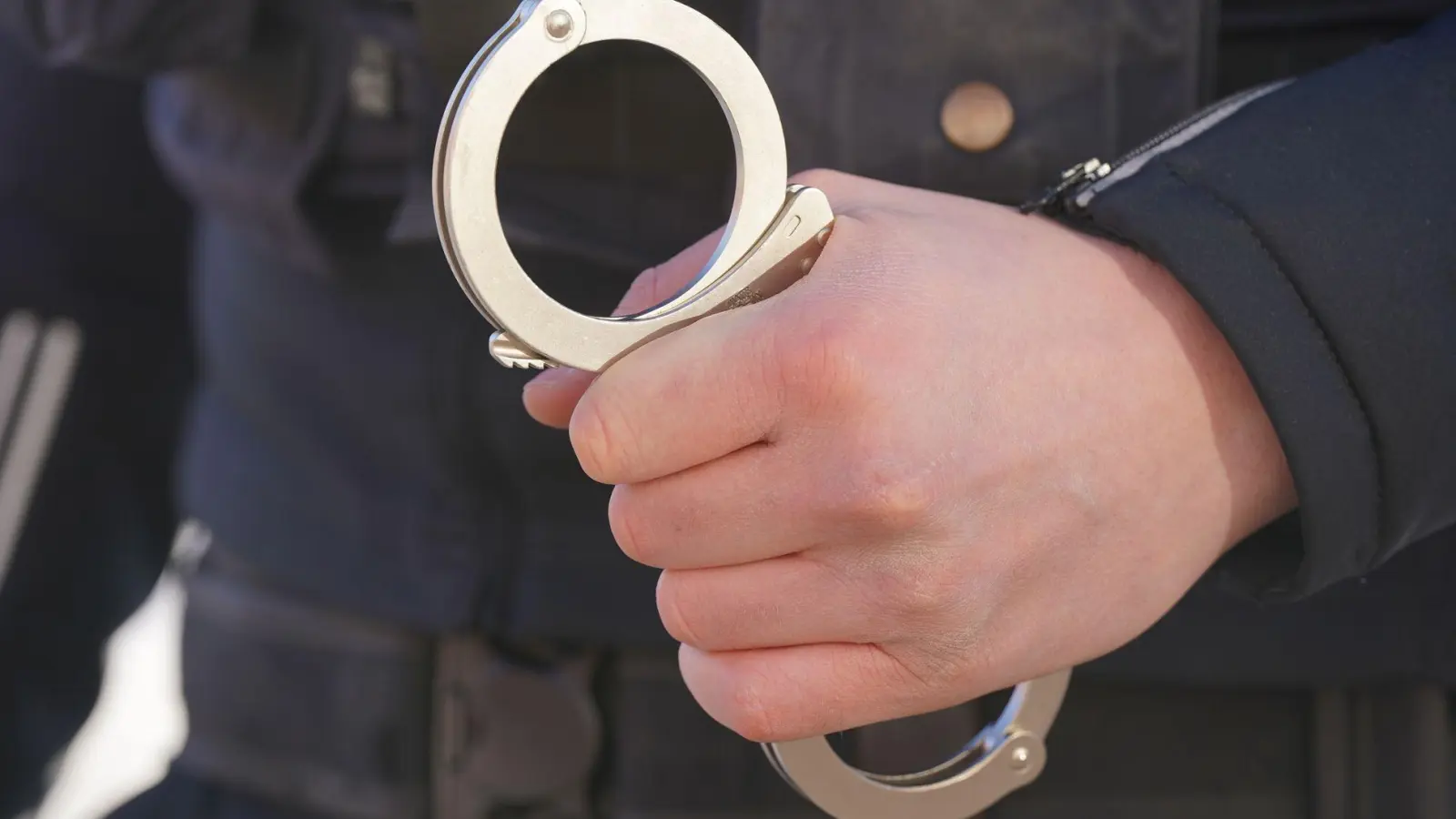 Zwei Tatverdächtige konnte die Polizei festnehmen. (Symbolbild) (Foto: Marcus Brandt/dpa)