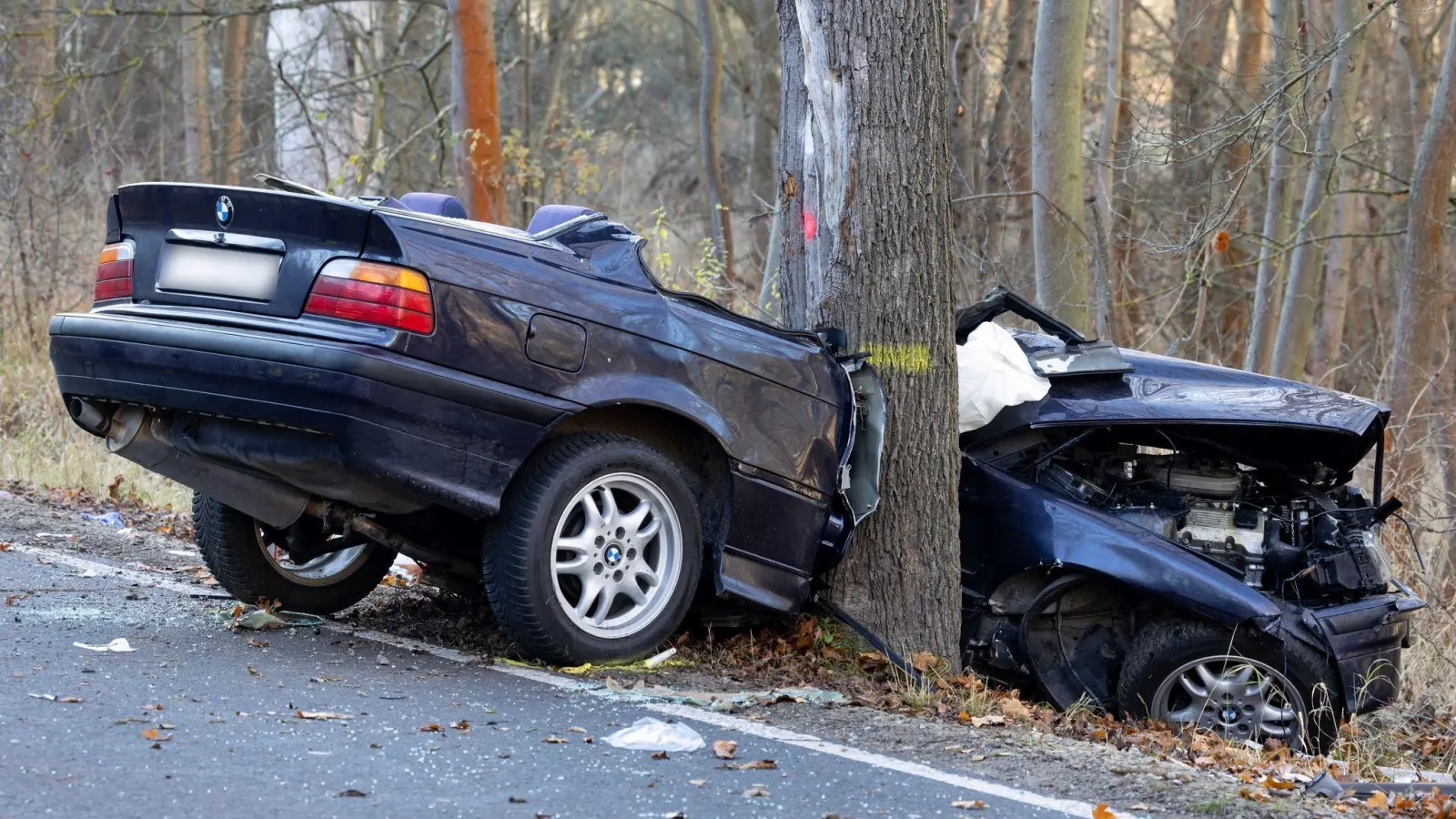 Ein Auto hat sich bei einem Verkehrsunfall in einen Baum verkeilt (Archivfoto). (Foto: Michael Reichel/dpa-Zentralbild/dpa)