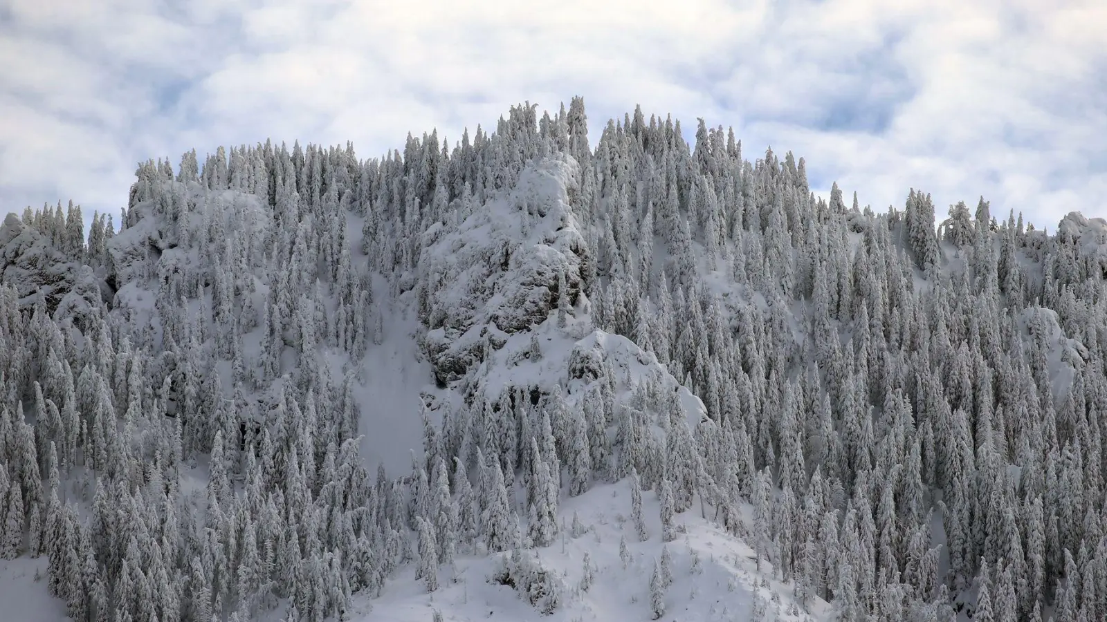 Die Bahn auf den Tegelberg nahe Schloss Neuschwanstein fuhr nach dem Brand am Montag nicht mehr. (Archivbild) (Foto: Karl-Josef Hildenbrand/dpa)