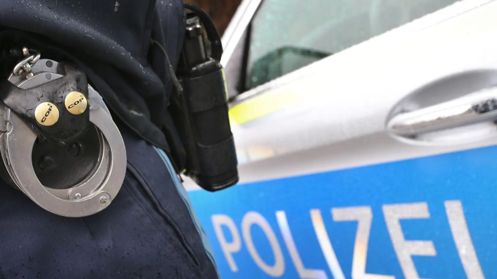 Die Polizei nahm den Dieb in Haft. (Symbolbild) (Foto: Karl-Josef Hildenbrand/dpa)