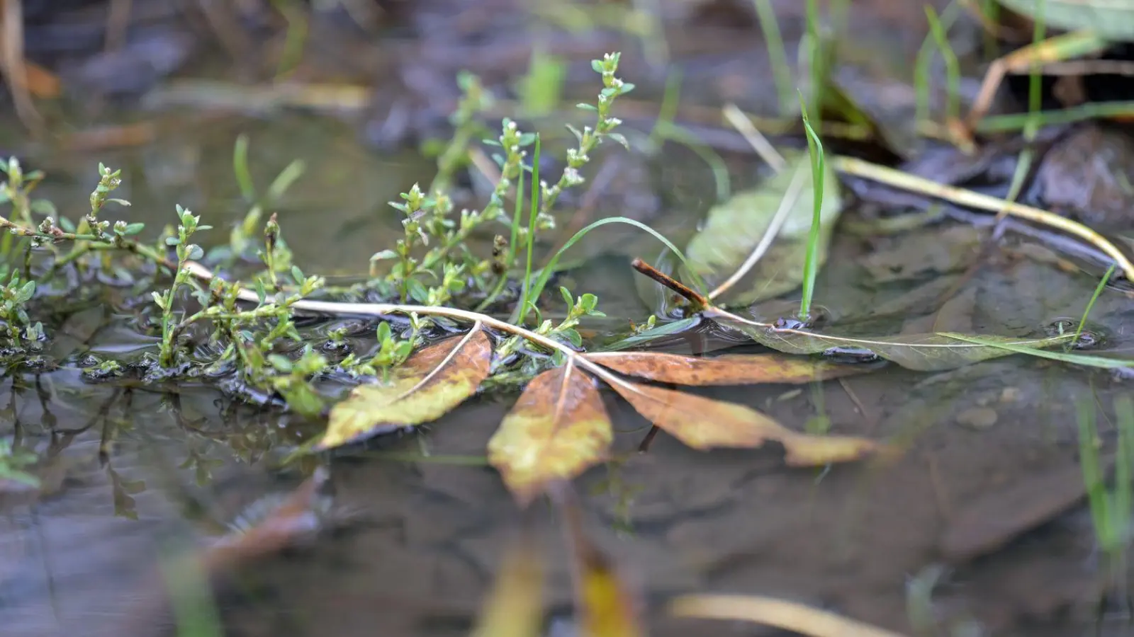 Regenschirm nicht vergessen: In einigen Regionen Bayerns kann es noch nass werden. (Foto: Malin Wunderlich/dpa)