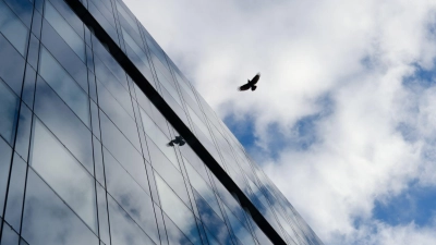 Der Himmel und ein Vogel spiegeln sich in der Glasfassade eines Bürogebäudes. (Foto: picture alliance / dpa/Archiv)