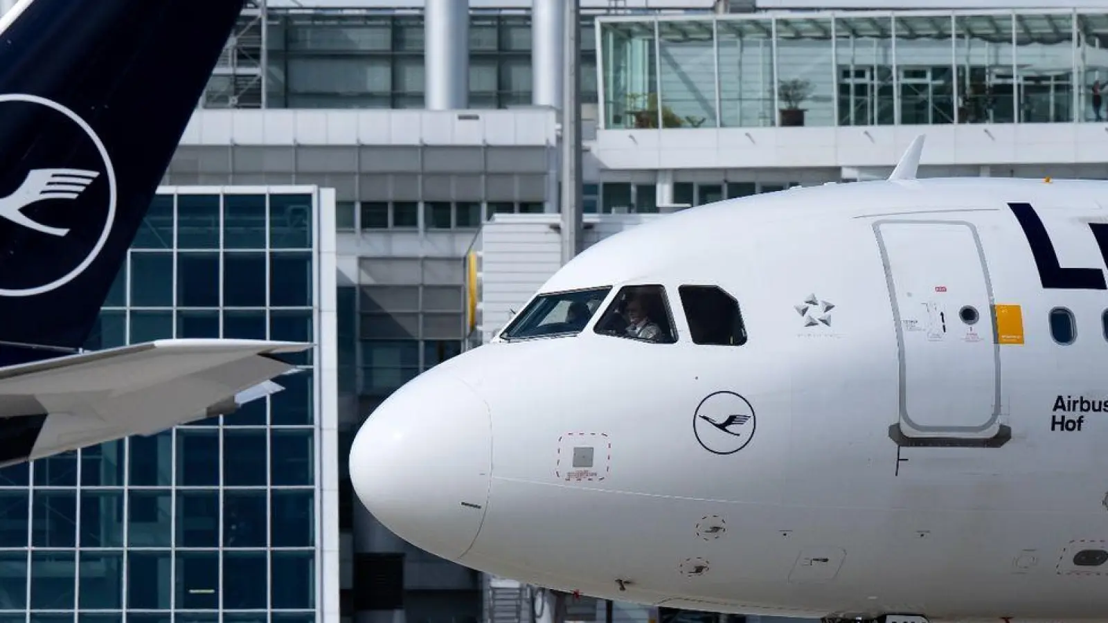 Flugzeuge der Lufthansa am Flughafen München. (Foto: Sven Hoppe/dpa)