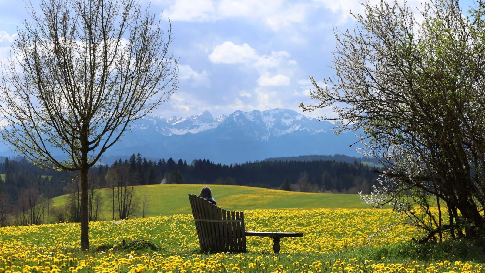 Saftige Wiesen, imposante Berge – mitunter zeigt sich Bayern wie aus dem Bilderbuch. (Archivbild) (Foto: Karl-Josef Hildenbrand/dpa)