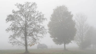 Nebel prägt in diesen Tagen vielerorts das Wetter im Freistaat. (Archivbild) (Foto: Stefan Puchner/dpa)