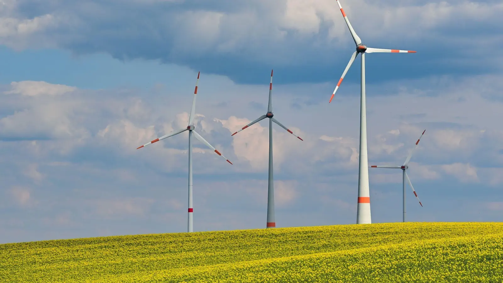 Allein aus Windrädern wurden in diesem April rund 11,1 Milliarden Kilowattstunden grüner Strom in das Stromnetz eingespeist. Das ist laut Energiekonzern Eon ein Höchstwert. (Foto: Patrick Pleul/dpa)