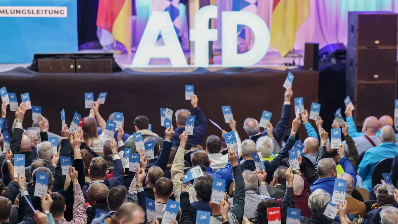 In der Bayern-AfD rumort es - mal wieder. (Archivbild) (Foto: Daniel Löb/dpa)