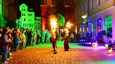 Gaukler zeigen bei einer Feuer-Show ihr Können. Gerade solche Jahrmarkt-ähnlichen Attraktionen erfreuten sich bei den Besuchern der Grünen Nacht großer Beliebtheit. (Foto: Jim Albright)
